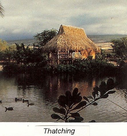 thatch building